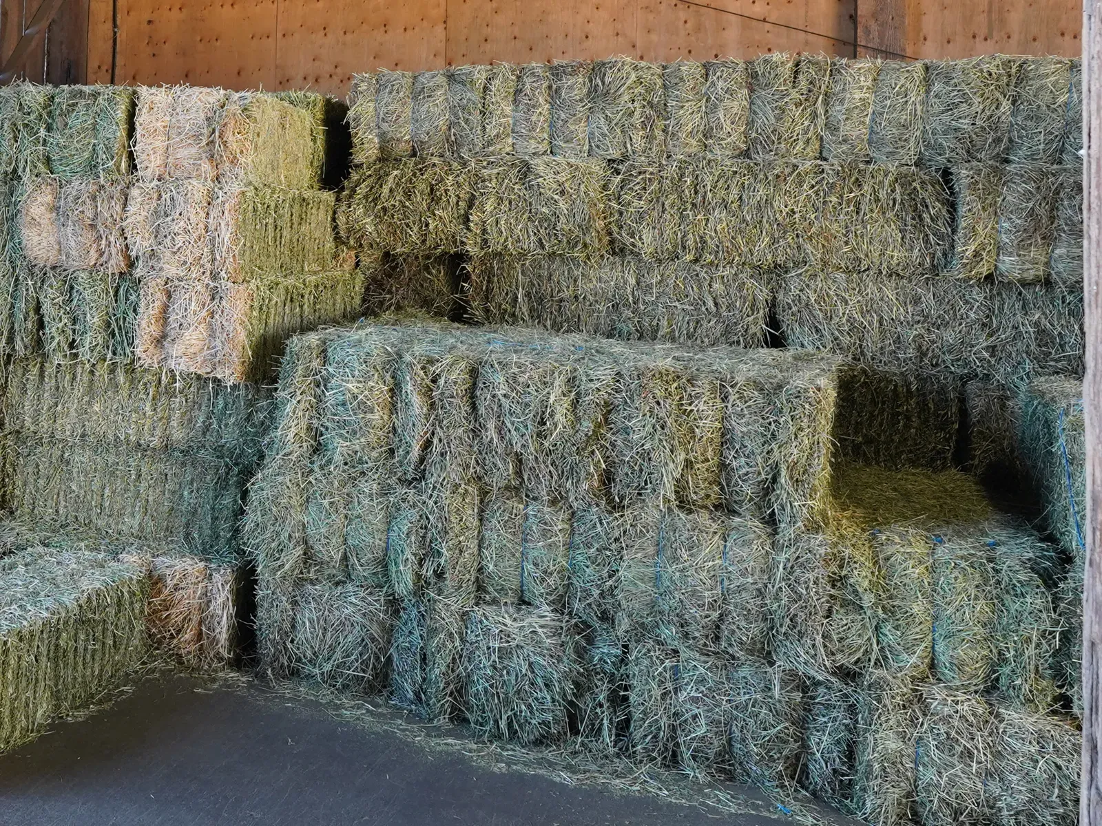 Milner Feed and Pet Supply
